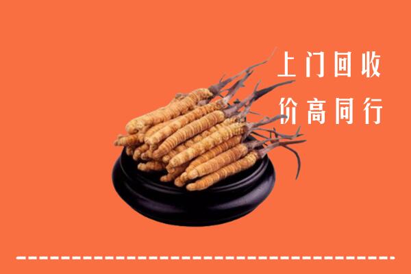 高价求购：三原县回收散虫草