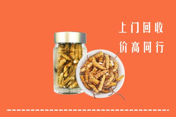 三原县回收冬虫夏草