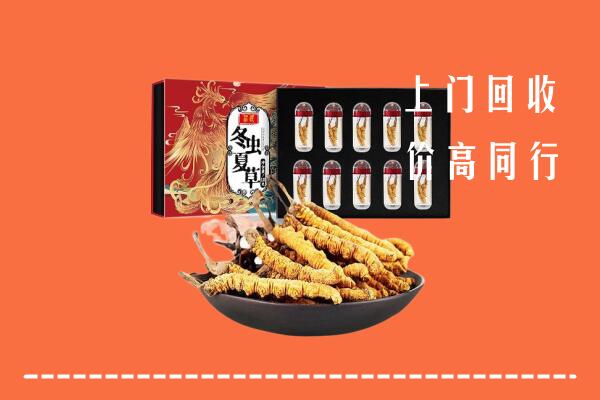 三原县回收虫草